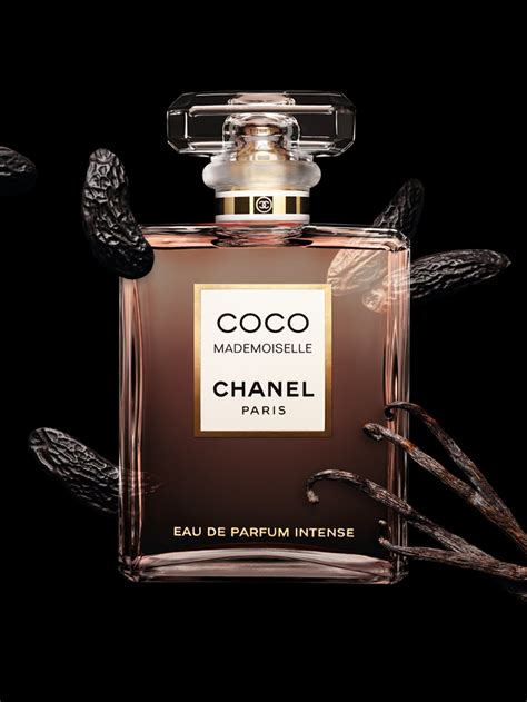 bilder von coco chanel|Coco Chanel perfume best price.